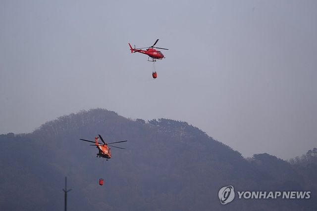 인제 하남리 산불 저지 '총력'