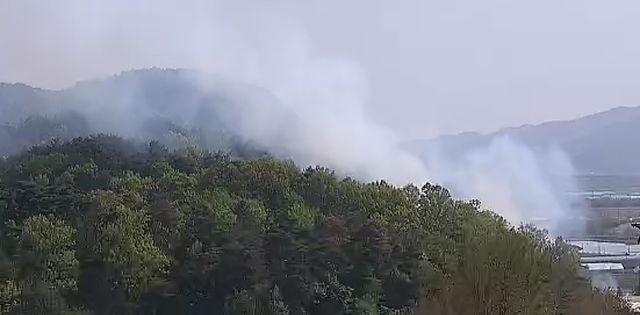 경주시 강동면 다산리 산불