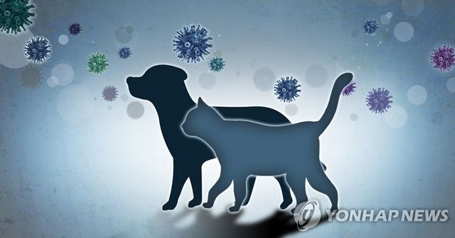 [박은주 제작] 사진합성·일러스트