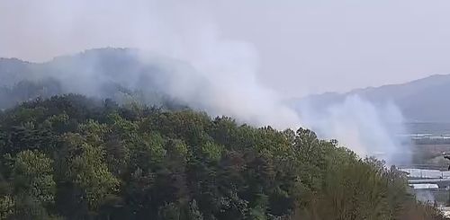 경주시 강동면 다산리 산불