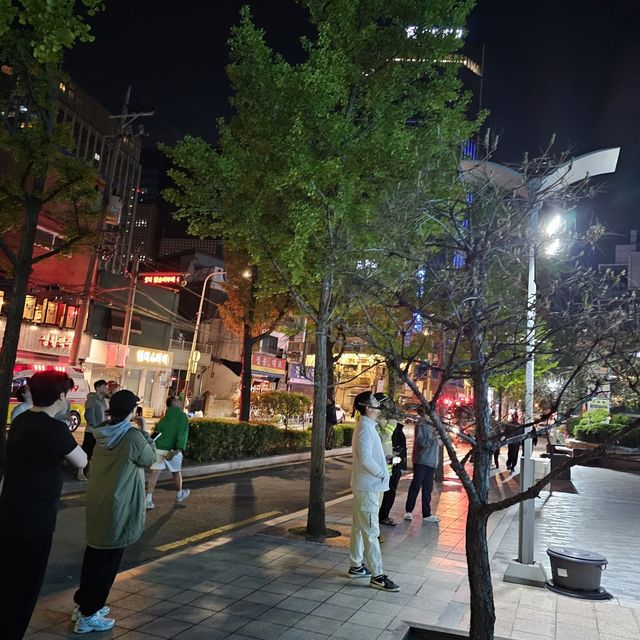 서울 도심 오피스텔 정전…입주민 불편