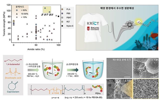 생분해성이 우수한 PEA 고분자 개발 