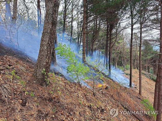 강원 홍천서 발생한 산불