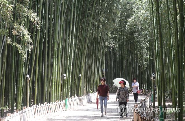 태화강 국가정원 십리대숲