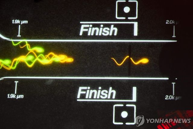 25일(현지시간) 미 LA에서 열린 정자 경주 대회를 시각화한 영상