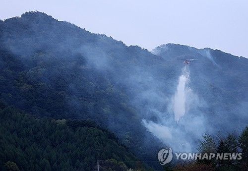 산불(사진은 기사와 직접 관련이 없습니다)