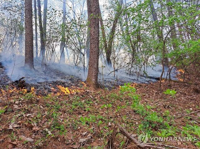 강원 홍천서 발생한 산불