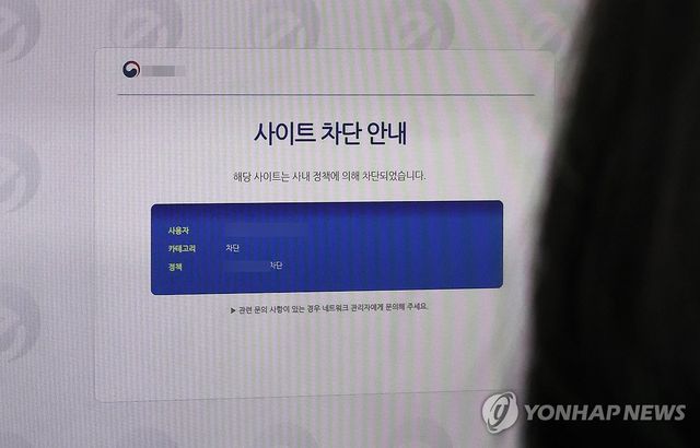 '딥시크 차단' 정부 부처 전방위 확산