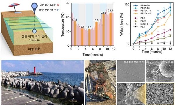 해양 분해 시험 테스트