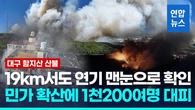 [영상] 대구 함지산 불 강풍 확산에 진화 실패…야간대응체제 전환 - 2