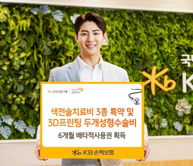 [KB손해보험 제공]