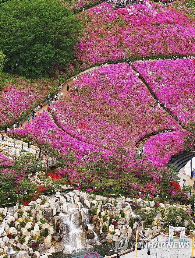 나들이하기 좋은 날