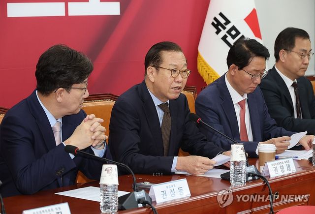 발언하는 권영세 비상대책위원장