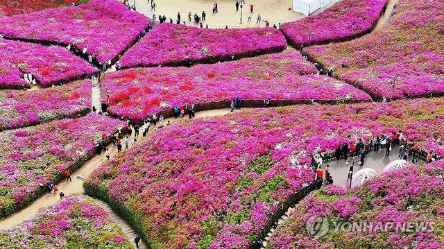 나들이하기 좋은 날