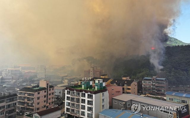 확산하는 대구 산불