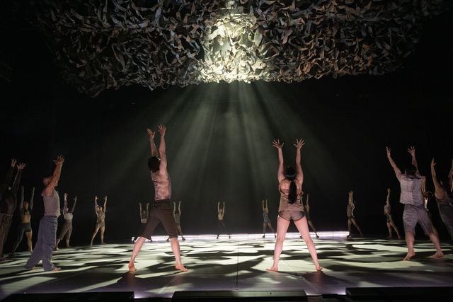 국립현대무용단 '정글' 공연