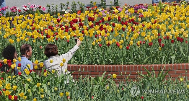 2025 고양국제꽃박람회 활짝