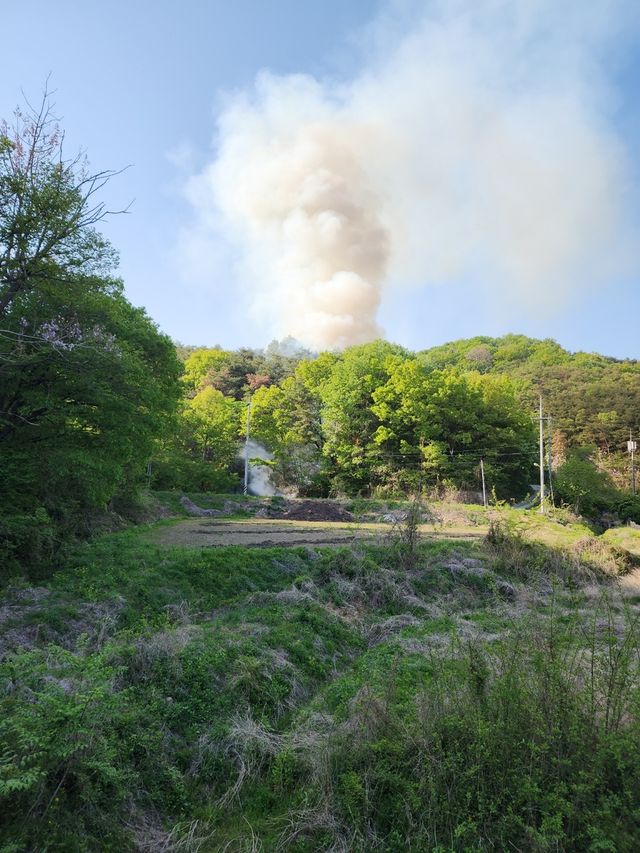 고령군 산불 현장