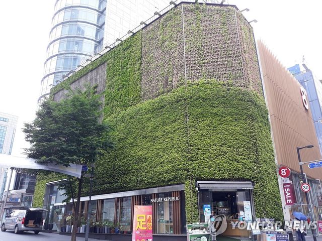 명동 네이처리퍼블릭