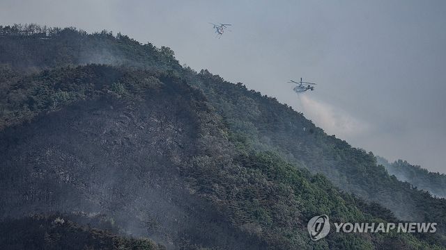 산림 피해를 막아라