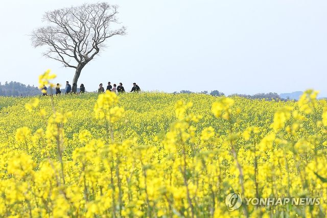 봄 정취 물씬 나는 신화가든