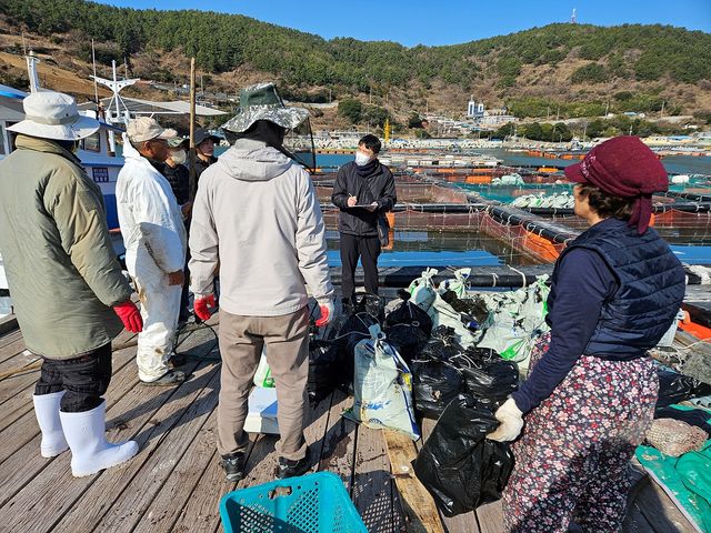 저수온 피해 조사