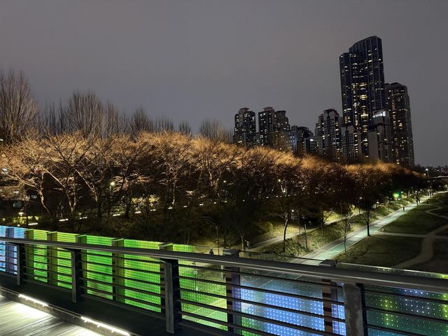 조명으로 물든 양재천 야경