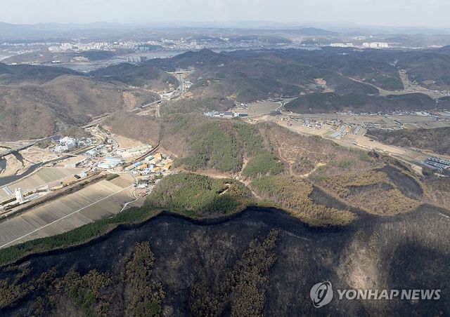 산불이 멈춘 자리