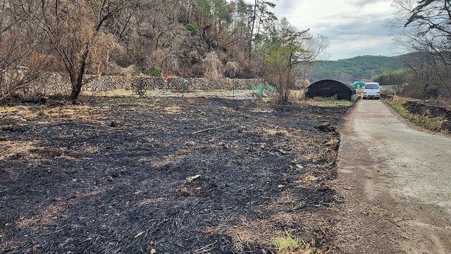 산불에 타버린 밭