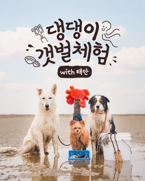 반려동물과 함께 태안서 갯벌체험