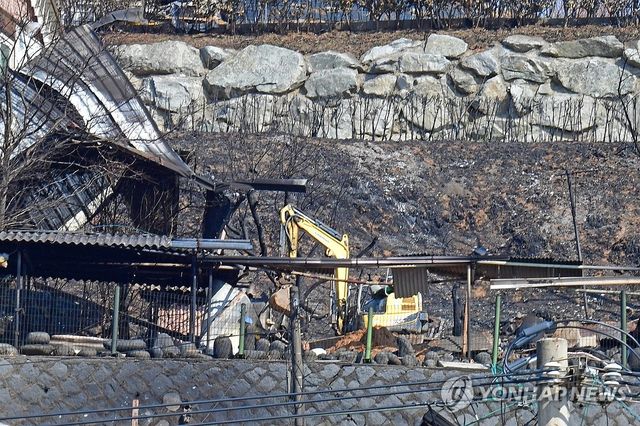 산불 피해지역 정리