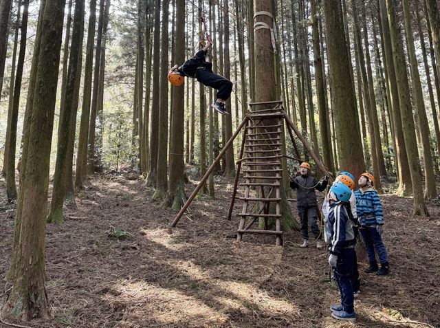 토평초 학생 모험숲 체험 모습