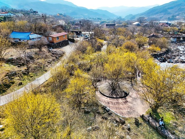 산수유가 곱게 핀 구례 반곡마을[사진/임헌정 기자]