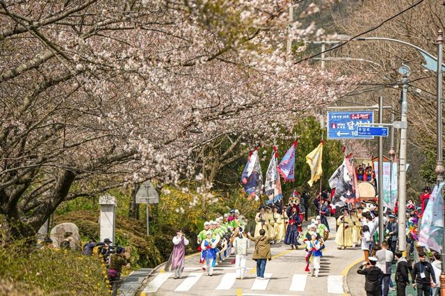 봄꽃 축제가 열릴 유달산