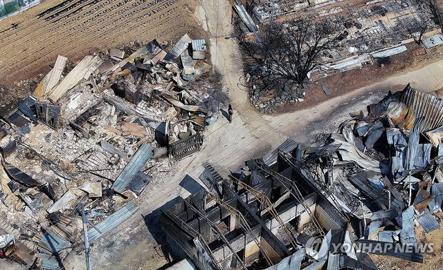 산불 폐허 속에서