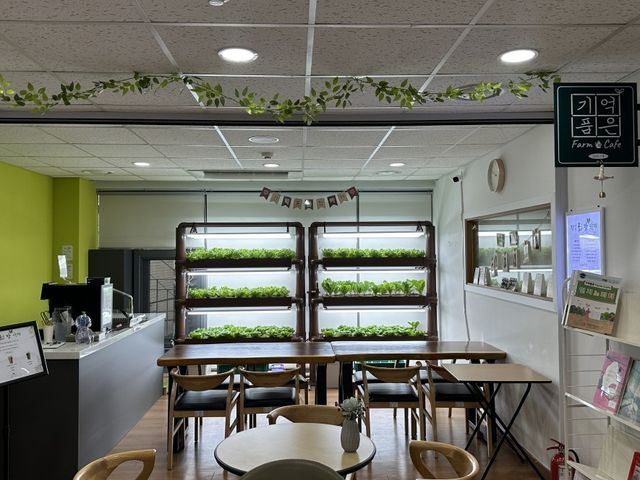 기억 품은 팜 카페 모습