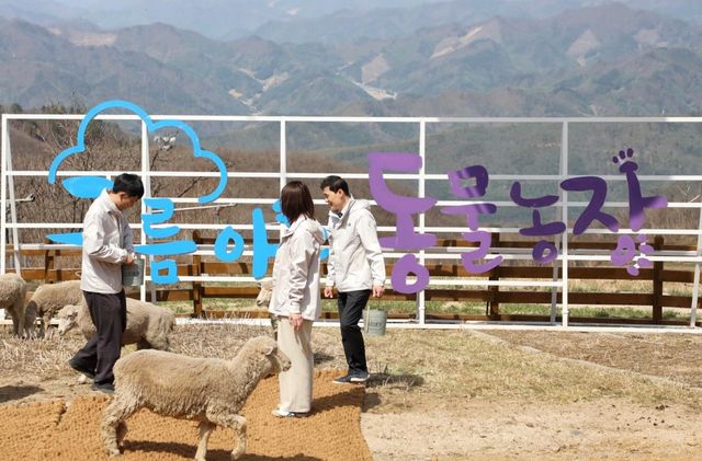 하이원 구름아래 동물농장