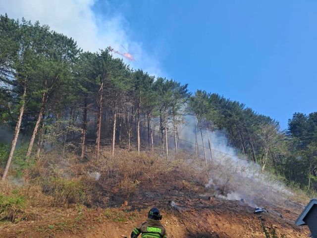 홍천 산불 현장