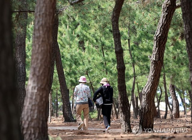 건강도 챙기고 더위도 식히고