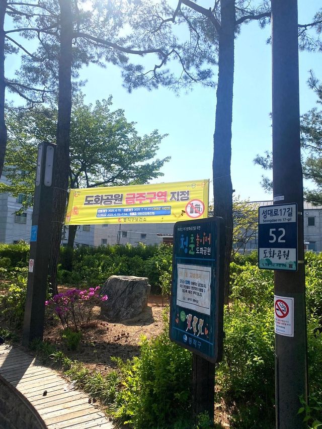 금주구역으로 지정된 동작구 도화공원