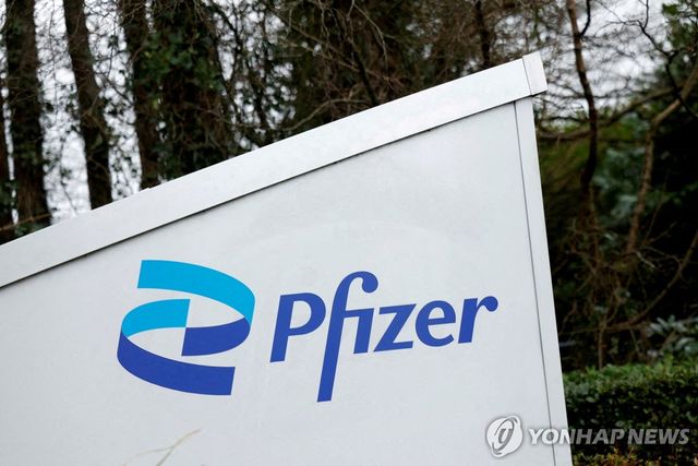 아일랜드에 있는 화이자 공장