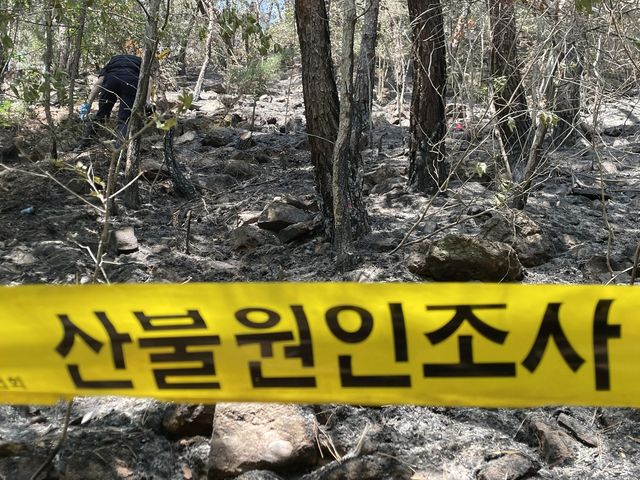 대구 함진산 산불 현장 합동 감식
