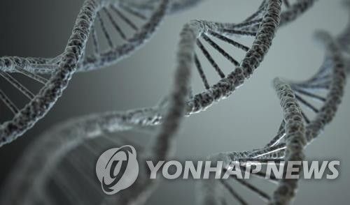 DNA 구조