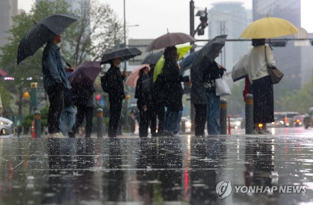 봄비 오는 서울