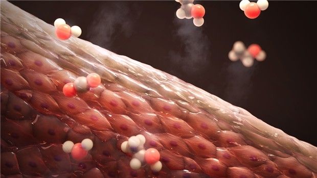 피부 표면의 기체 흐름 일러스트레이션