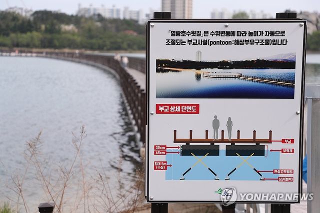 속초 영랑호 부교란