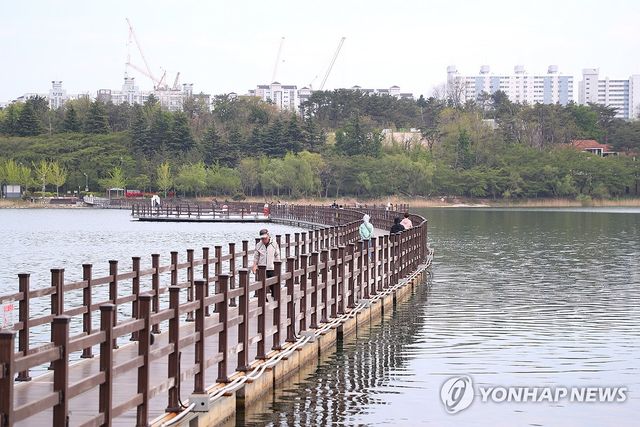 속초 영랑호 부교 운명은