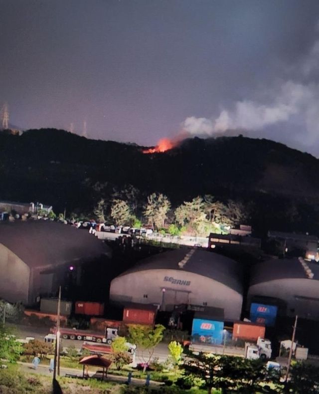 포항 야산 불