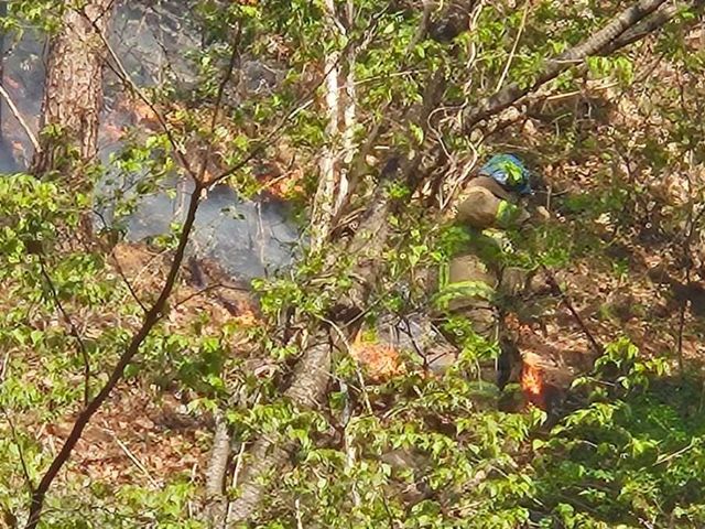 홍천 산불 현장서 진화 작업하는 소방대원