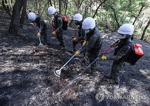 '남은 건 잔불 진화'…육군 장병 투입